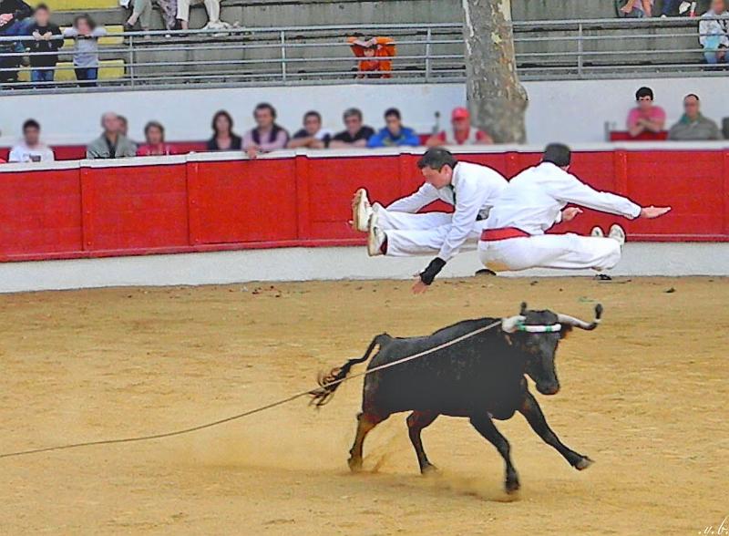 Aquitanien (507).jpg